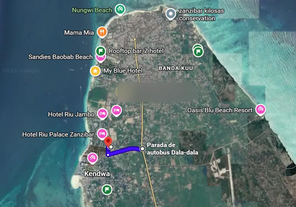 Map of the north of Zanzibar from above: Cocohut is the red pin in Kendwa, and a blue line leads to it from the dala-dala stop on Nungwi Road